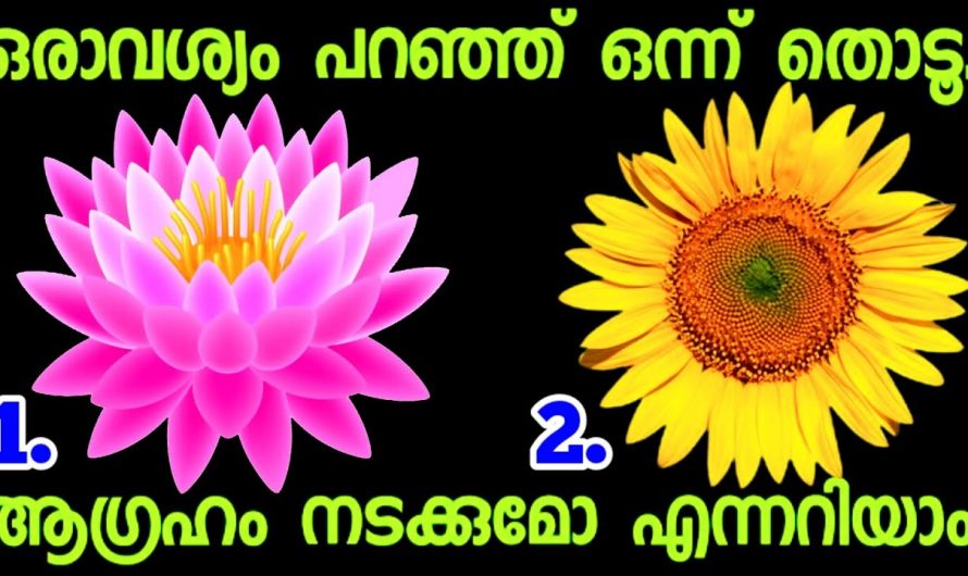 നിങ്ങളുടെ ജീവിതത്തിൽ വരാൻ പോകുന്ന അനുഗ്രഹങ്ങളെ കുറിച്ച് അറിയണമോ
