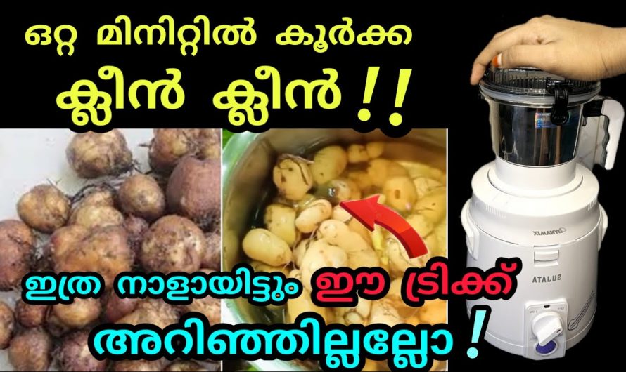 കയ്യിൽ കറയാകില്ല എളുപ്പത്തിൽ ക്ലീൻ ചെയ്യാൻ കൂർക്ക ഇങ്ങനെ ചെയ്താൽ മതി..
