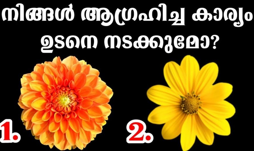 ജീവിതത്തിൽ നിങ്ങൾ ആഗ്രഹിക്കുന്ന കാര്യങ്ങൾ ഇപ്പോൾ നടക്കും  ..