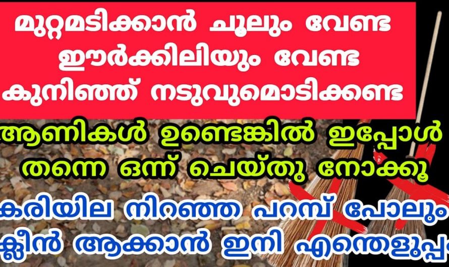 എത്ര കരടും ചപ്പുചവറും  ഉള്ള മുറ്റം ആണെങ്കിലും കുനിയാതെയും ചൂല് ഉപയോഗിക്കാതെയും വളരെ എളുപ്പത്തിൽ ക്ലീൻ ചെയ്യാം..