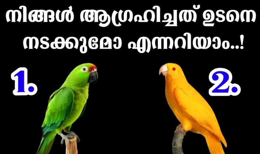നമ്മുടെ ജീവിതത്തിലെ നല്ല കാലം എപ്പോൾ വരും നമ്മുടെ ആഗ്രഹങ്ങൾ എപ്പോൾ സാധ്യമാകും എന്നറിയാൻ..