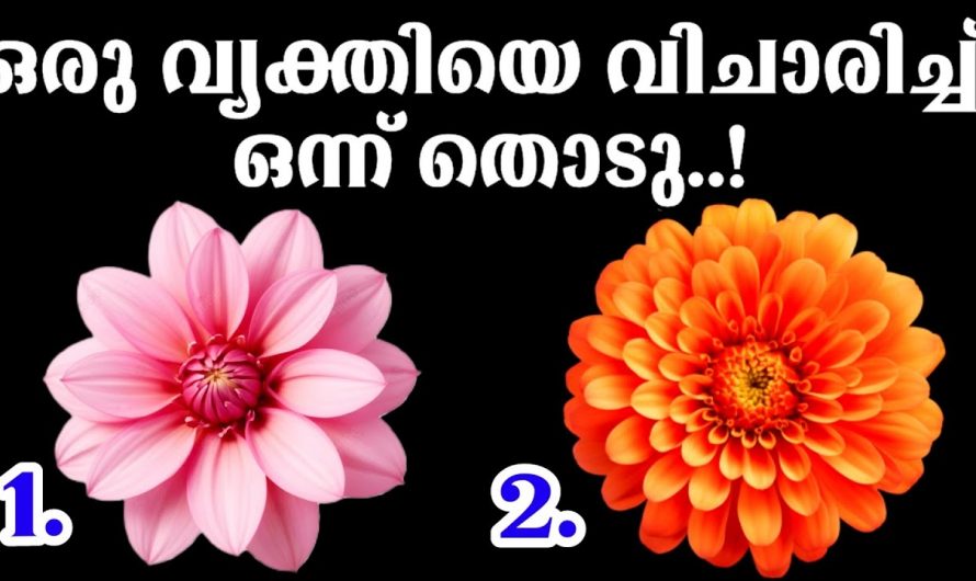 ഇതിൽ നിന്ന് ഇഷ്ടപ്പെടുന്ന ഒരു വ്യക്തിയെക്കുറിച്ച് മനസ്സിൽ കണ്ടുകൊണ്ട് ഒന്ന് തിരഞ്ഞെടുത്തു നോക്കൂ..