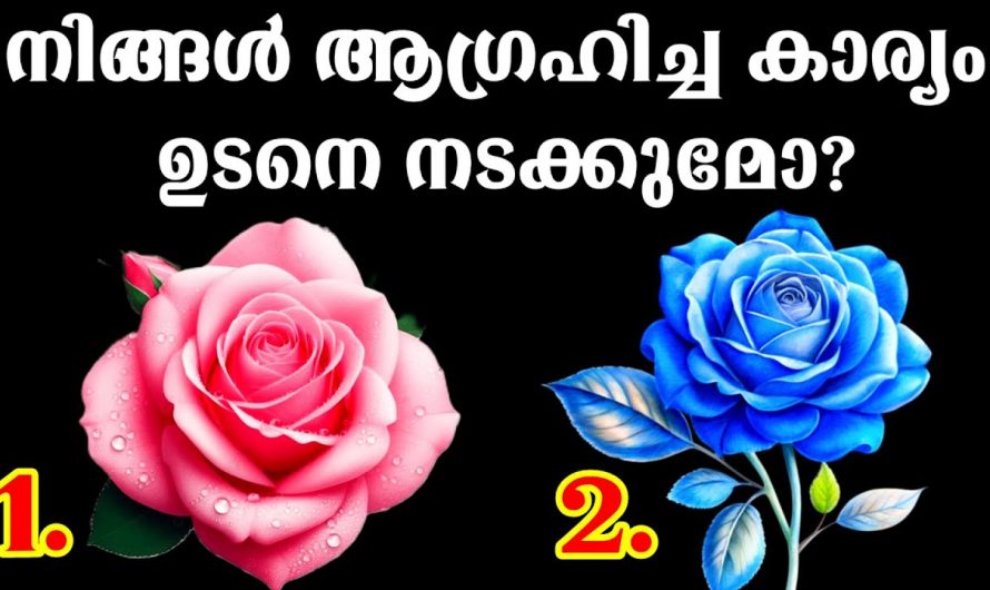 നിങ്ങൾ വളരെയധികം ആഗ്രഹിക്കുന്ന ഒരു കാര്യം എപ്പോൾ സാധിച്ചു കിട്ടും എന്നറിയണമോ ..