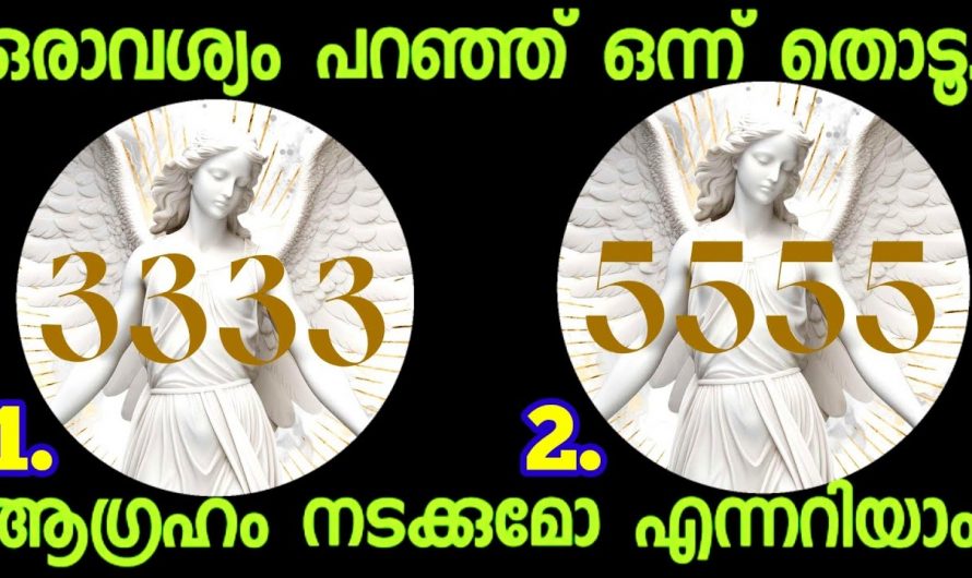 നിങ്ങളുടെ ജീവിതത്തിൽ ഇനി എന്ത് നടക്കും എന്നതിനെക്കുറിച്ച് അറിയണമോ..