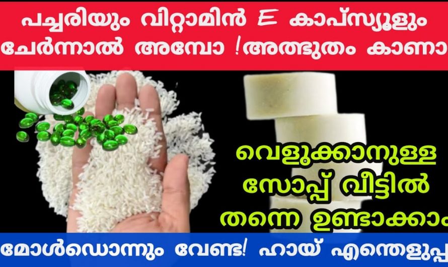 നിറം വർദ്ധിപ്പിക്കാൻ ഇതാ സോപ്പ് വളരെ എളുപ്പത്തിൽ വീട്ടിൽ തയ്യാറാക്കാം..