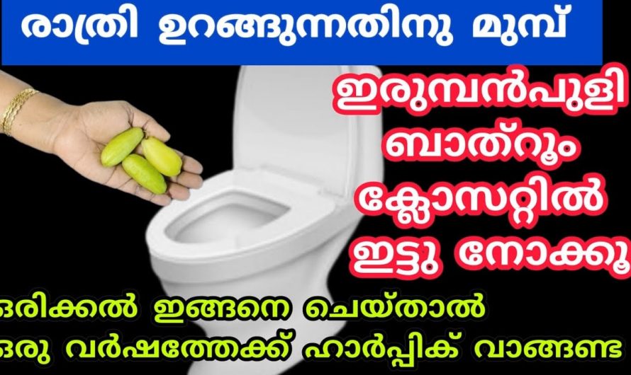 വീടും ബാത്റൂം ക്ലീൻ ചെയ്യാൻ ഇനി വില കൂടിയ ഉൽപ്പന്നങ്ങൾ വേണ്ട ഇതാ കിടിലൻ വഴി..