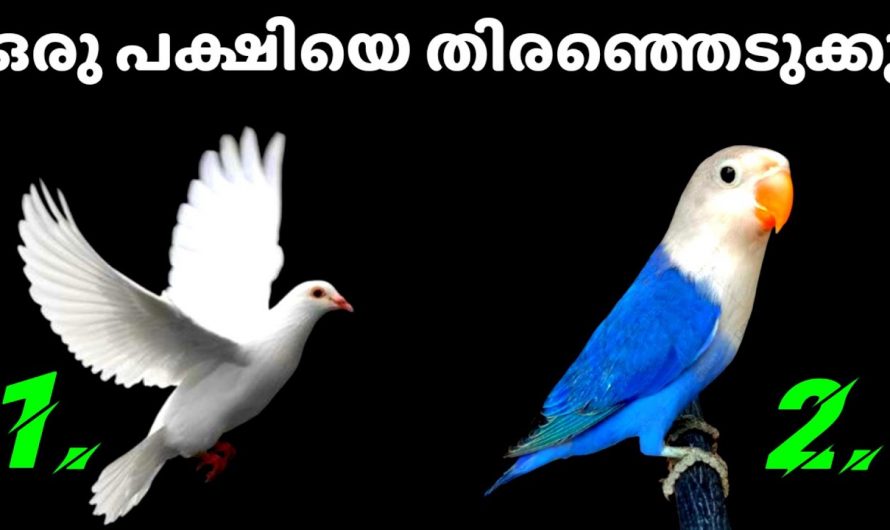 നിങ്ങൾ ജീവിതത്തിൽ ആഗ്രഹിക്കുന്ന കാര്യങ്ങൾ നേടിയെടുക്കാൻ സാധിക്കുമോ.