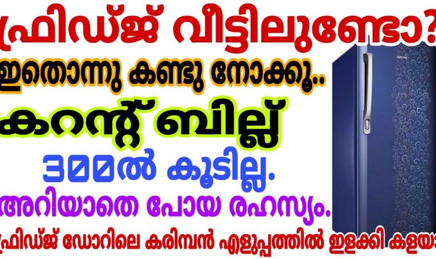 ഫ്രിഡ്ജ് ഉപയോഗിക്കുന്നവർ ഈ ഒരു കാര്യം ശ്രദ്ധിച്ചാൽ ഞെട്ടിക്കും ഗുണങ്ങൾ..