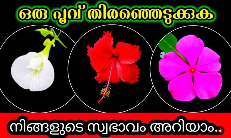 നമ്മുടെ സ്വഭാവത്തെക്കുറിച്ച് വിലയിരുത്താൻ ഇതാ കിടിലൻ വഴി..