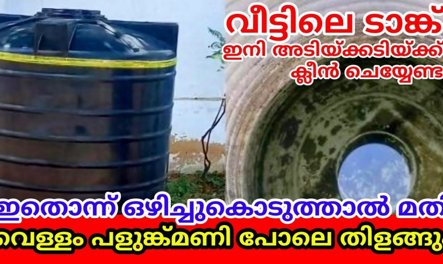 വാട്ടർ ടാങ്ക് ക്ലീൻ ചെയ്യുമ്പോൾ ഈയൊരു കാര്യം ശ്രദ്ധിച്ചാൽ ഇരട്ടി ഗുണം..