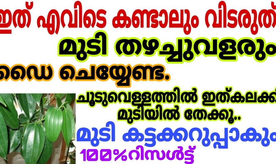 മുടിയിലെ നര പരിഹരിക്കാനും മുടി വളർച്ച ഇരട്ടിയാക്കാൻ  കിടിലൻ വഴി…