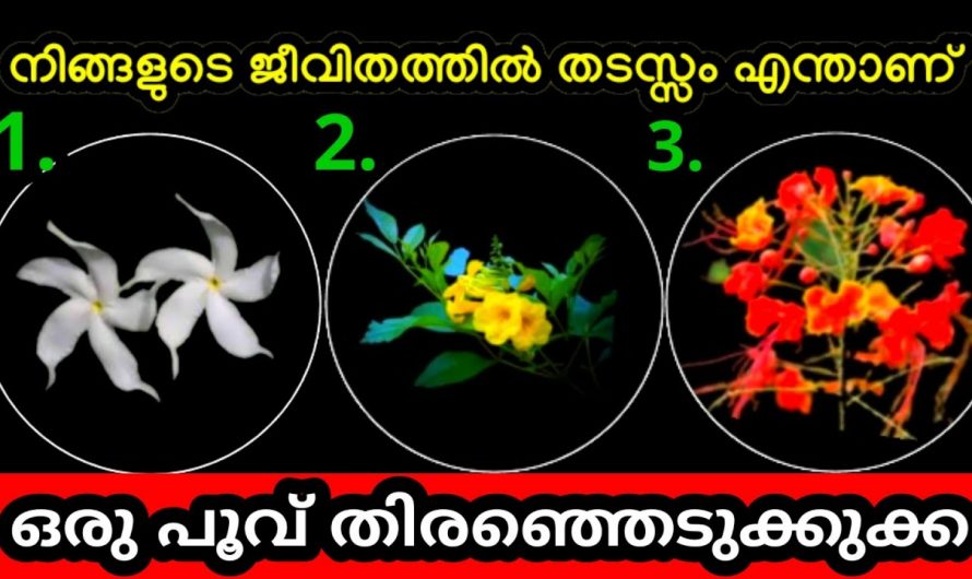 നിങ്ങളുടെ ജീവിതത്തിലെ തടസ്സങ്ങളിലെക്കുറിച്ച് മനസ്സിലാക്കാൻ കൂടാതെ എപ്പോഴും അവയ്ക്ക് പരിഹാരം കാണാം..