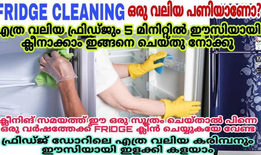 നമ്മുടെ വീട്ടിലെ ഫ്രിഡ്ജിൽ മൂന്ന് മാസത്തിലൊരിക്കൽ  ഇങ്ങനെ ചെയ്താൽ ഞെട്ടിക്കും ഗുണങ്ങൾ..