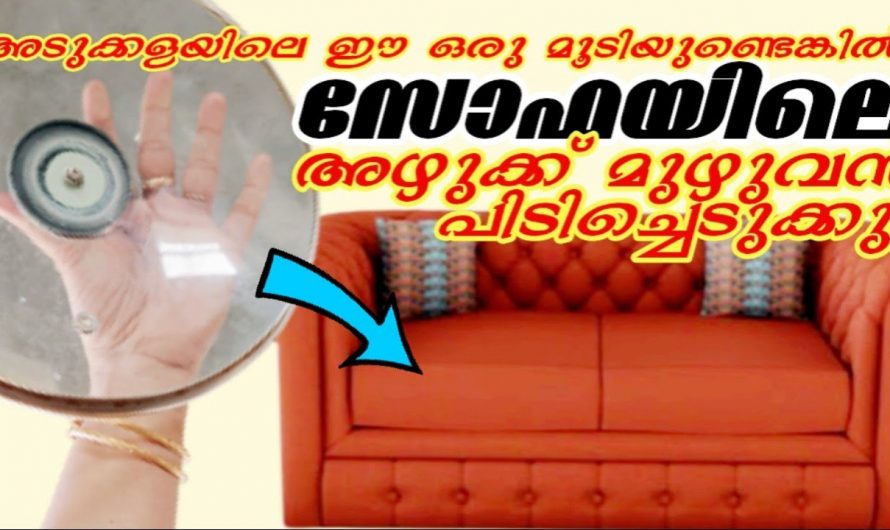 വീടുകളിലെ സോഫ, ബെഡ്, ദിവാൻകോട്ട് എന്നിവ എളുപ്പത്തിൽ ക്ലീൻ ചെയ്യാൻ..