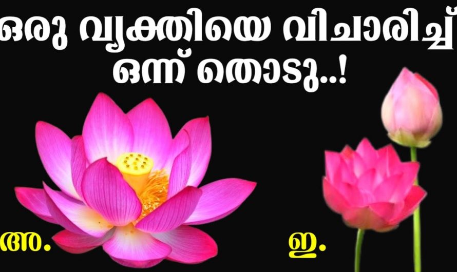 നിങ്ങൾ ഇഷ്ടപ്പെടുന്ന വ്യക്തിയും നിങ്ങളിൽ നിന്ന് എന്താഗ്രഹിക്കുന്ന എന്ന് അറിയണമോ ..