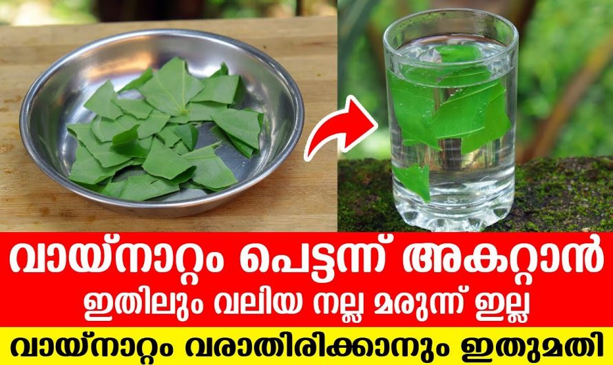 വായനാറ്റം പരിഹരിച്ച് ആത്മവിശ്വാസം വർധിപ്പിക്കാൻ…