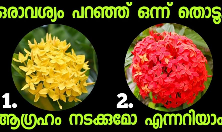 അടുത്ത നിമിഷം നിങ്ങളുടെ ജീവിതത്തിൽ എന്താണ് സംഭവിക്കാൻ പോകുന്നത് എന്ന് അറിയണോ..