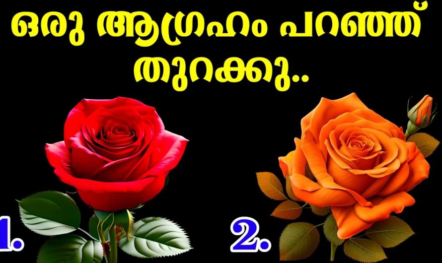 നിങ്ങൾ കാലങ്ങളായി കൊണ്ടുനടക്കുന്ന ആഗ്രഹങ്ങൾ എപ്പോൾ സാധിക്കും എന്നറിയണമോ.