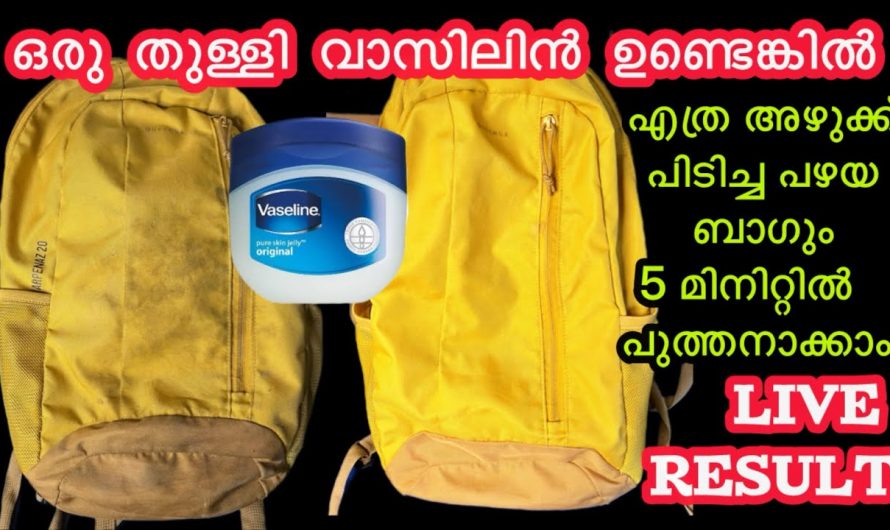 ഇതു തരം ബാഗ് ആയാലും നമുക്ക് ക്ലീൻ ചെയ്യാൻ വളരെ എളുപ്പത്തിൽ..
