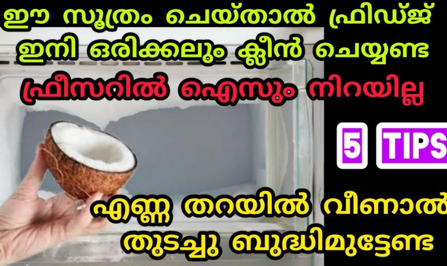 നമ്മുടെ വീട്ടിലെ ഫ്രിഡ്ജ് എപ്പോഴും പുത്തൻ പുതിയത് പോലെ ഇരിക്കാൻ..