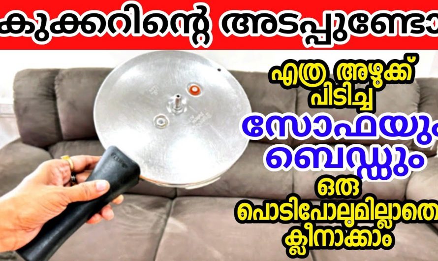 ഇത്തരം ടിപ്സുകൾ നമുക്ക് ഒത്തിരി ഗുണങ്ങൾ ചെയ്യാം..