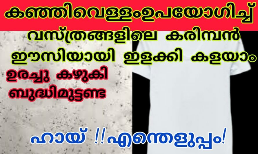 വളരെ എളുപ്പത്തിൽ വസ്ത്രങ്ങളിലെ കരിമ്പൻ നീക്കം ചെയ്യാം..