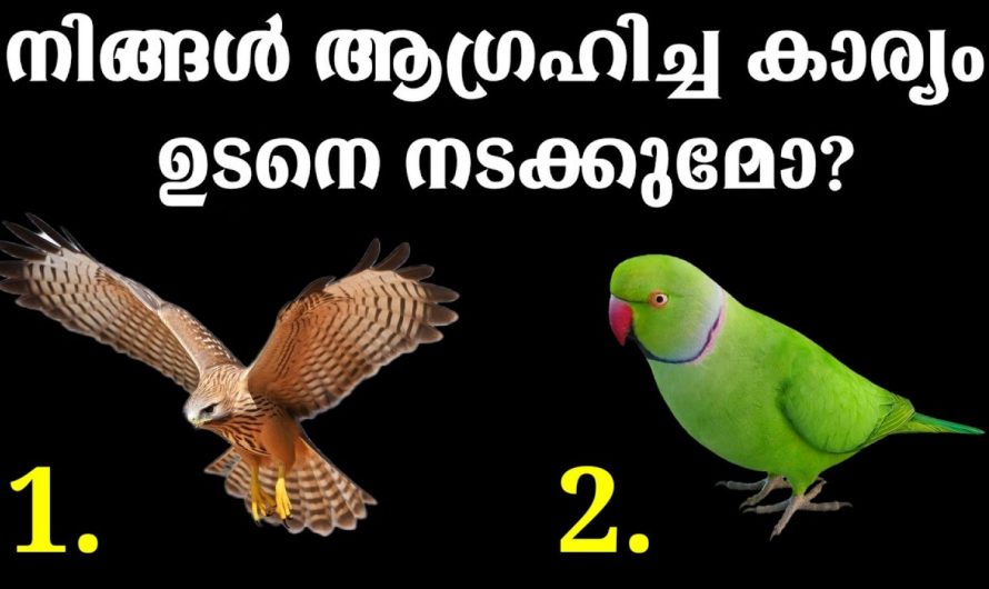 നിങ്ങൾ നടക്കണം എന്ന് ആഗ്രഹിക്കുന്ന ഒരു കാര്യം എപ്പോൾ സാധ്യമാകും എന്നറിയണമോ..