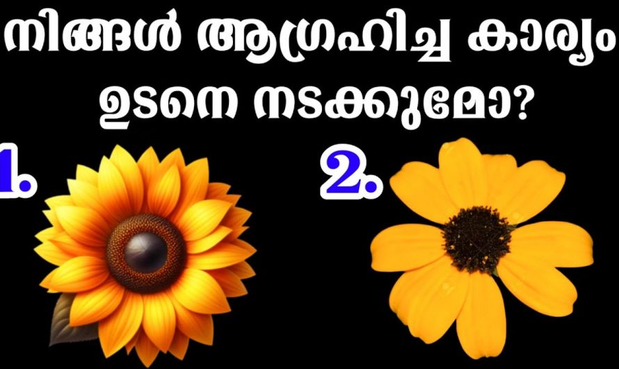 നിങ്ങളുടെ ആഗ്രഹങ്ങൾ എപ്പോൾ സാധ്യമാകും എന്നറിയണമോ..