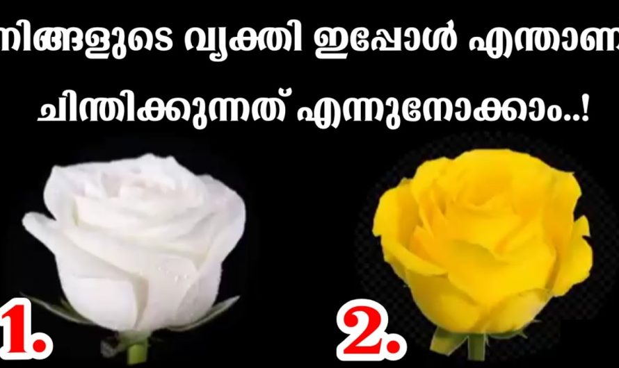 നിങ്ങൾ ആത്മാർത്ഥമായി സ്നേഹിക്കുന്ന വ്യക്തി നിങ്ങളെക്കുറിച്ച് എന്താണ് ചിന്തിക്കുന്നത് എന്നറിയണമെന്ന് ആഗ്രഹമുണ്ടോ..