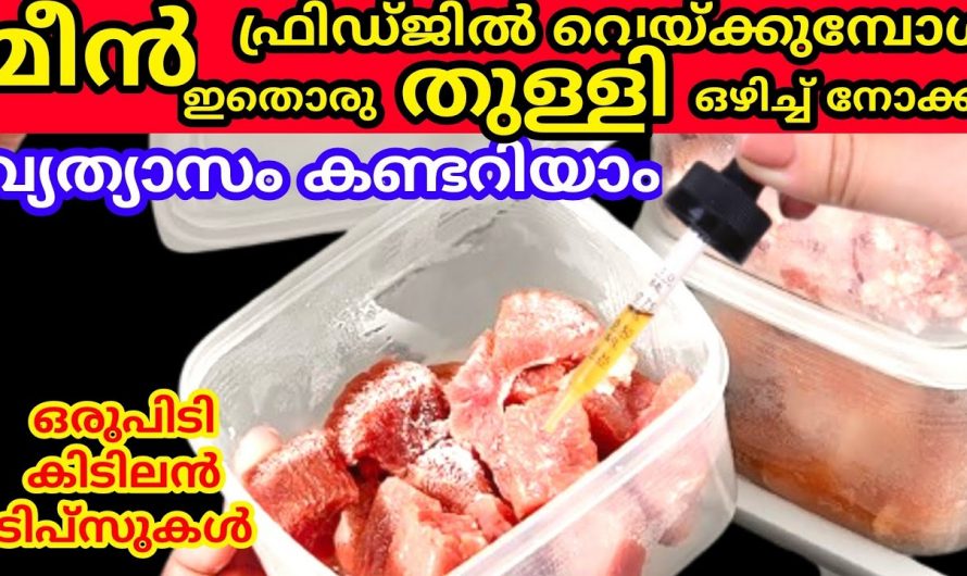 നോൺവെജ് ഫ്രിഡ്ജിൽ സ്റ്റോർ ചെയ്യുമ്പോൾ  ഈ ഒരു കാര്യം ചെയ്താൽ ഇരട്ടി ഗുണം..