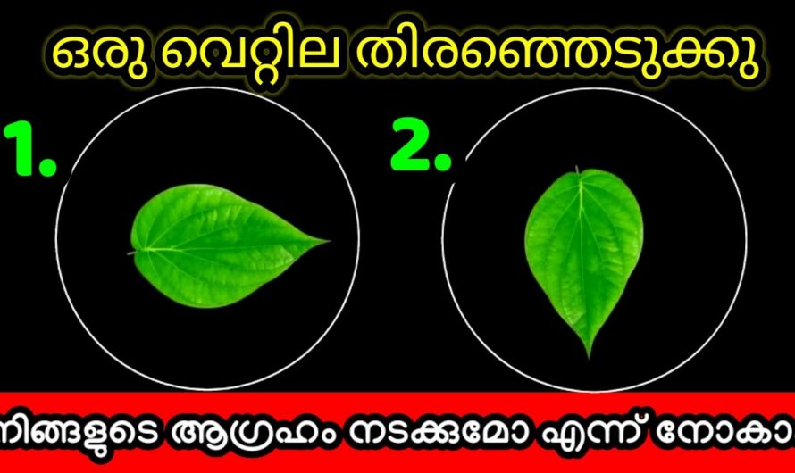 നിങ്ങളുടെ ജീവിതത്തെ കുറിച്ച് മനസ്സിലാക്കാം.