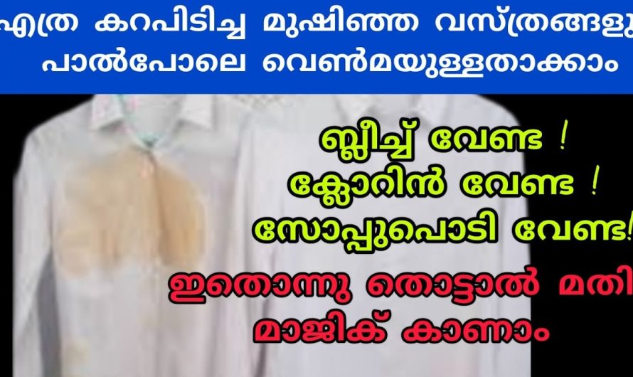 വെളുത്ത വസ്ത്രങ്ങളിലെയും മഞ്ഞ നിറവും ക്കറയും എളുപ്പത്തിൽ പരിഹരിക്കാൻ