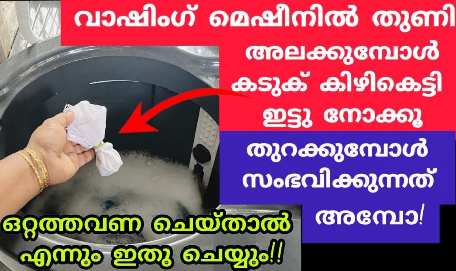 വീട്ടമ്മമാർക്ക് സ്വീകരിക്കാവുന്ന കിടിലൻ ടിപ്സുകൾ..