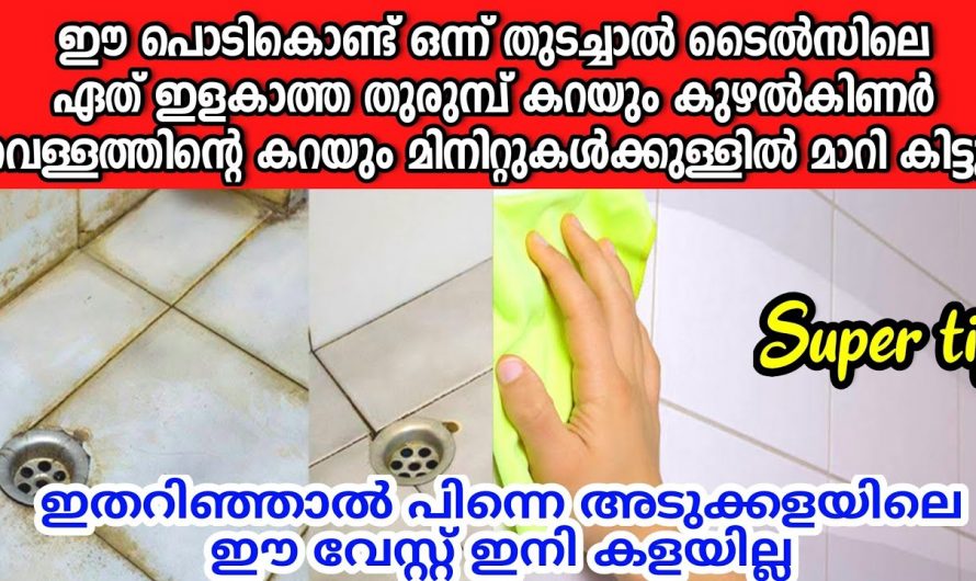 എത്ര അഴുക്കുപിടിച്ച ബാത്റൂമും പുത്തൻ പുതിയത് പോലെ തിളങ്ങാൻ കിടിലൻ വഴി.