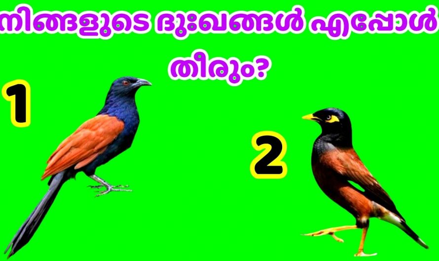 നിങ്ങളുടെ മനസ്സിനെ അലട്ടുന്ന ദുഃഖങ്ങൾക്ക് മാറ്റം വരുമോ..