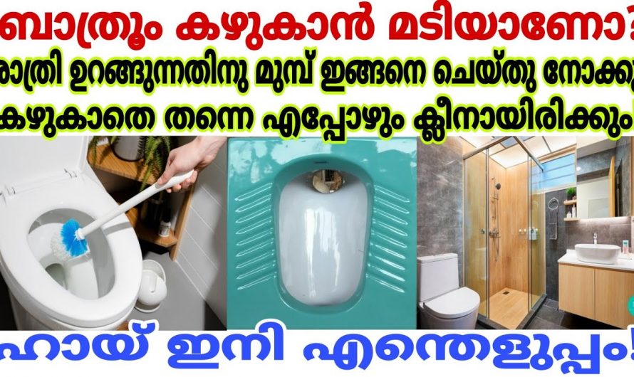 വീട് എളുപ്പത്തിൽ ക്ലീൻ ചെയ്യാൻ ശ്രദ്ധിക്കേണ്ട കാര്യങ്ങൾ..