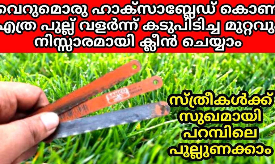 എത്ര കാടുപിടിച്ച പുല്ലും വളരെ എളുപ്പത്തിൽ നീക്കം ചെയ്യാൻ കിടിലൻ വഴി..