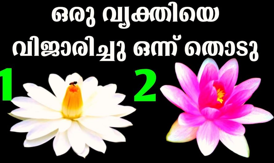 നിങ്ങളുടെ ഇഷ്ടപ്പെട്ട ഒരു വ്യക്തിയെക്കുറിച്ച് നിങ്ങൾക്ക് കൂടുതൽ അറിയണമോ..