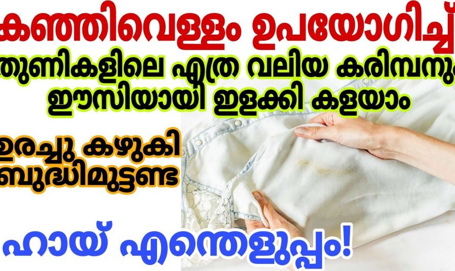 കഞ്ഞിവെള്ളം ഉപയോഗിച്ച് വസ്ത്രങ്ങളിലെ കരിമ്പൻ എളുപ്പത്തിൽ പരിഹരിക്കാം.