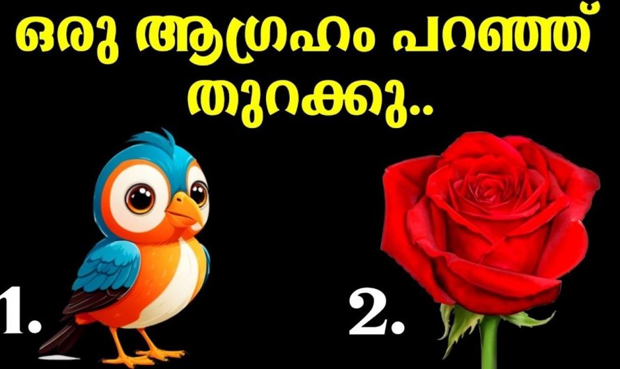 നിങ്ങളുടെ ജീവിതത്തിലെ സങ്കടങ്ങൾക്ക് ഒരു അറുതി വരുമോ എന്നറിയാൻ..