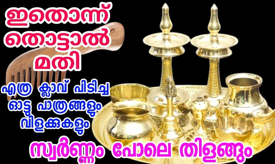 ഇത്തരം ടിപ്സുകൾ ഉപയോഗിക്കുന്നത് ഞെട്ടിക്കുന്ന ഗുണങ്ങൾ നൽകും…