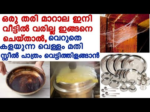 വളരെ എളുപ്പത്തിൽ മാറാല ശല്യം പരിഹരിക്കാൻ ഇതാ വഴി.