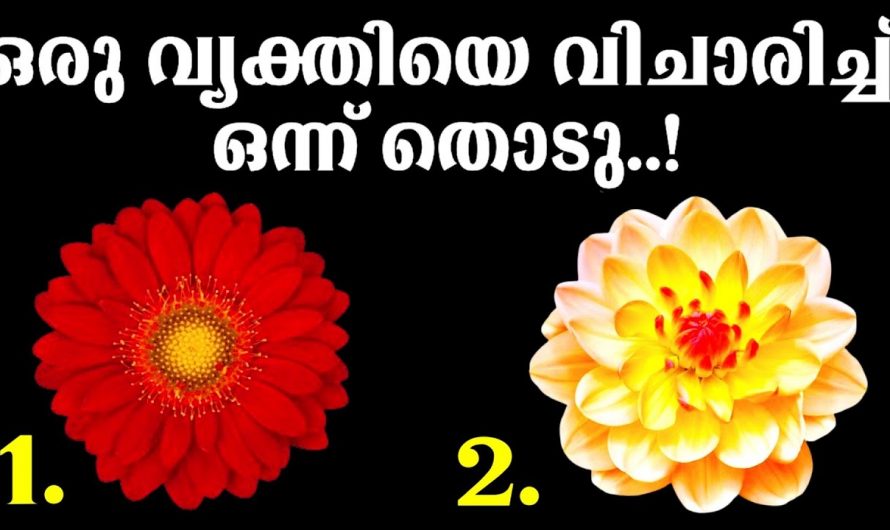 നിങ്ങൾ ഇഷ്ടപ്പെട്ട വ്യക്തിയെ മനസ്സിൽ ചിന്തിച്ച് ഇതിൽ നിന്നു തിരഞ്ഞെടുത്തു നോക്കു..
