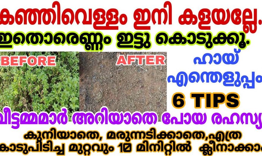 കഞ്ഞിവെള്ളം ഉപയോഗിച്ച് ക്ലീനിങ് വളരെ എളുപ്പത്തിൽ..