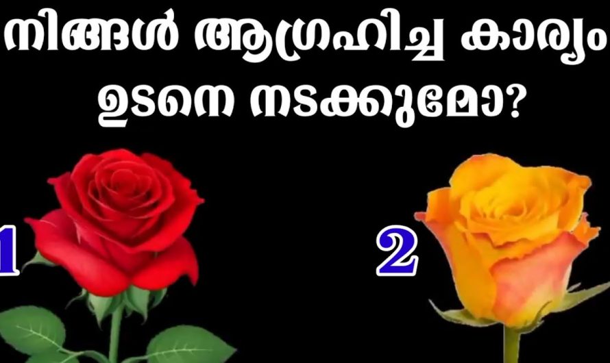 നിങ്ങളുടെ സ്വപ്നങ്ങളും ആഗ്രഹങ്ങളും  ഇപ്പോൾ സാധ്യമാകും എന്നറിയാൻ..