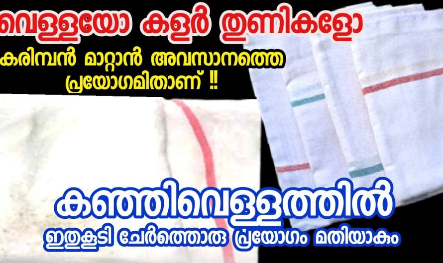 വെളുത്ത വസ്ത്രങ്ങളിലെയും കളർ വസ്ത്രങ്ങളുടെയും കരിമ്പൻ എളുപ്പത്തിൽ എങ്ങനെ നീക്കം ചെയ്യാം.