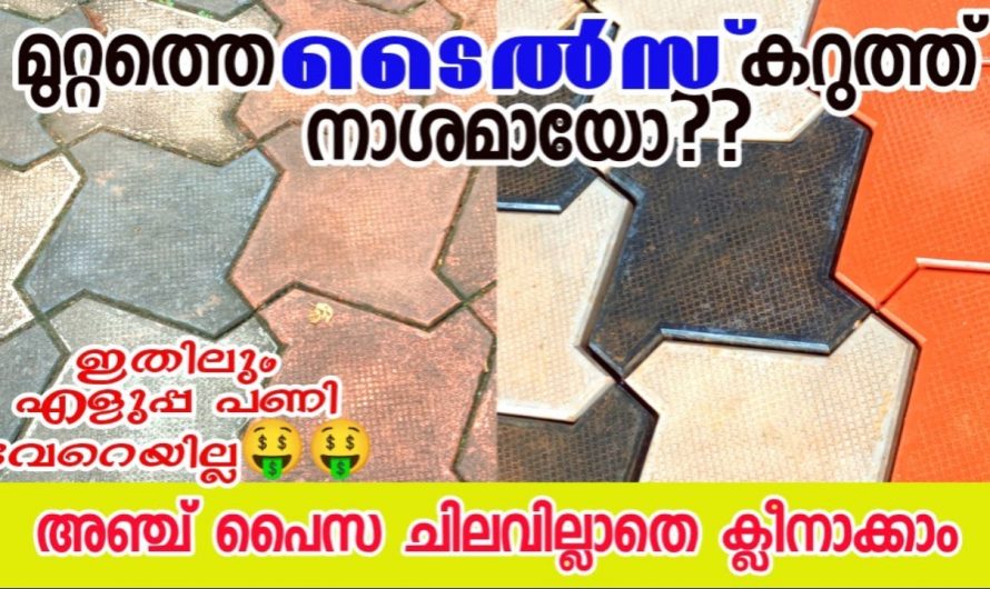 വീട്ടുമുറ്റത്തെ ടൈലുകളും കട്ടകളും എളുപ്പത്തിൽ ക്ലീൻ ചെയ്യാം..