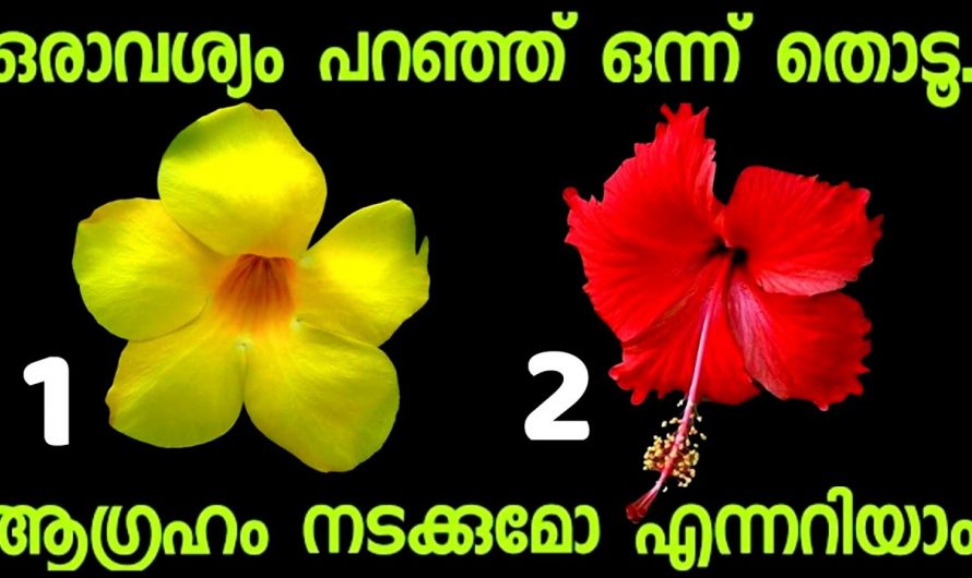 നിങ്ങളുടെ ജീവിതത്തിൽ നടക്കാൻ പോകുന്ന അപ്രതീക്ഷിത  കാര്യങ്ങളെക്കുറിച്ച് അറിയണമോ..