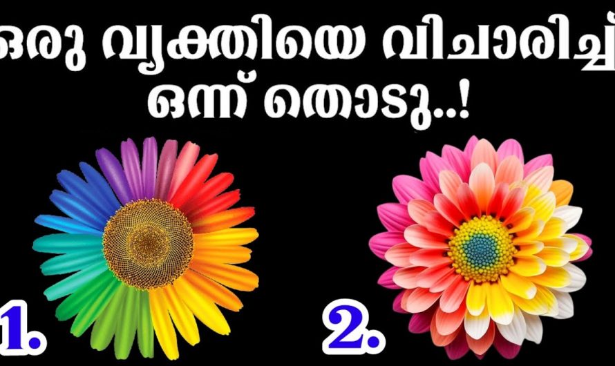 നിങ്ങൾ വളരെയധികം ആത്മാർത്ഥമായി ഇഷ്ടപ്പെടുന്ന ഒരു വ്യക്തിയെക്കുറിച്ച് കൂടുതൽ അറിയാൻ ..