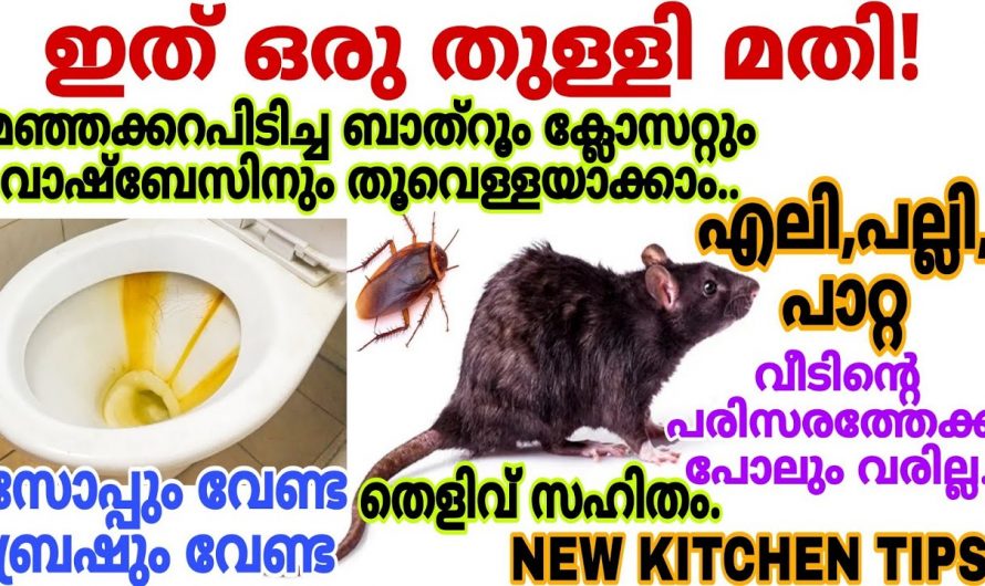 ഇത്തരം കാര്യങ്ങൾക്ക് ബേക്കിംഗ് സോഡ അത്യുത്തമം..